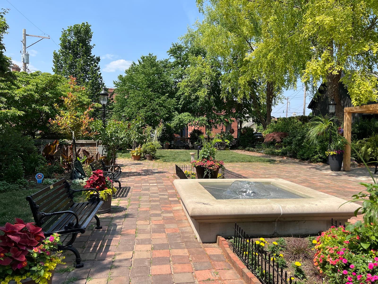 Photographer's Delight