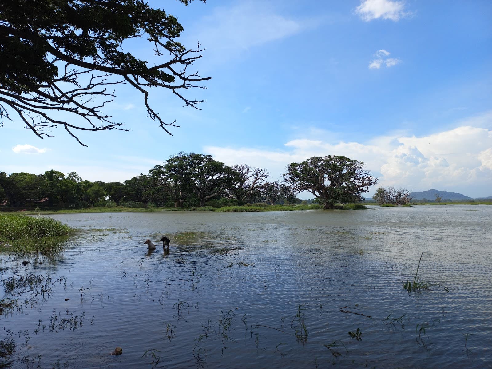 Tissa Wewa Tissamaharama - Image 1