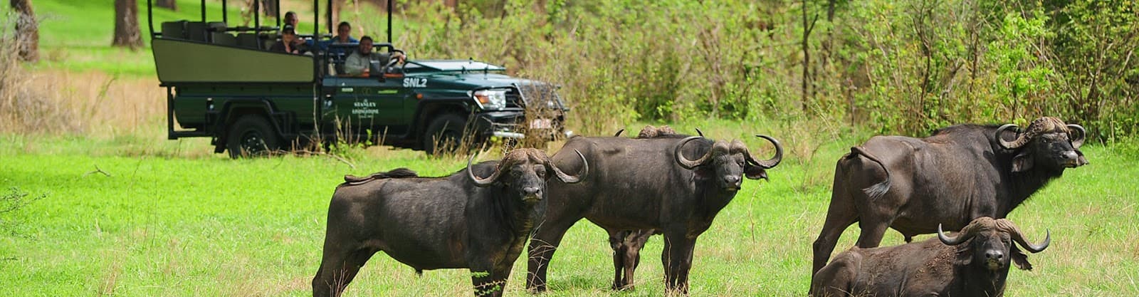Zambezi National Park - Image 1