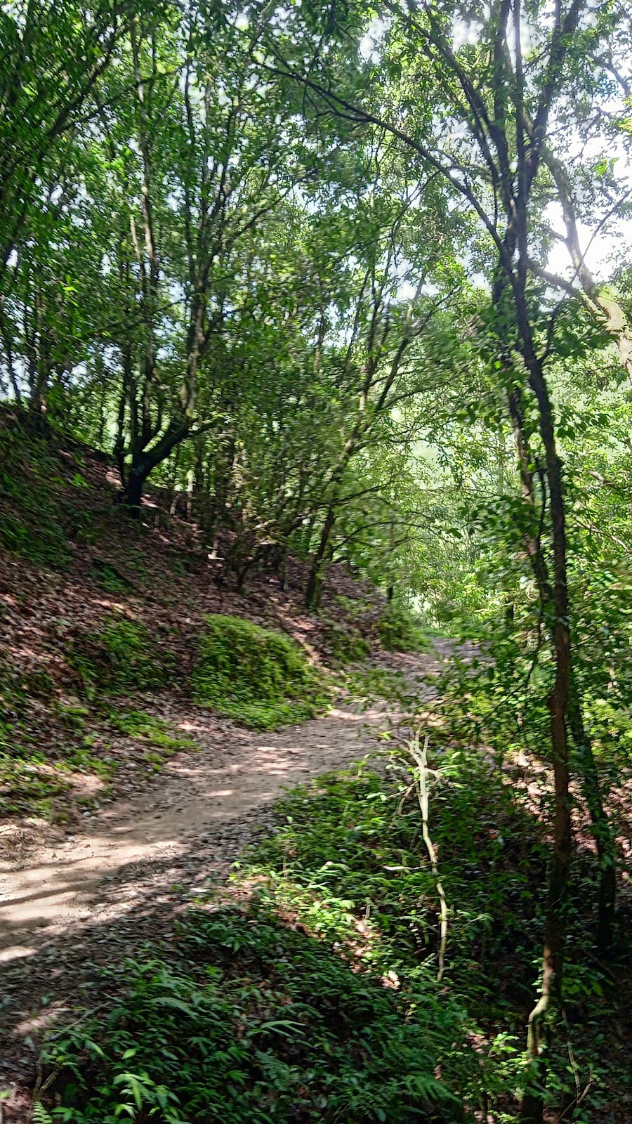 Sundarijal Waterfall - Image 1