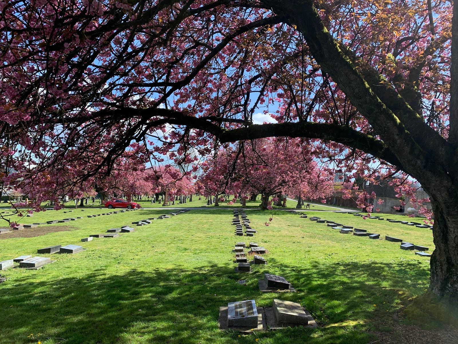 Fraser Cemetery - Image 1