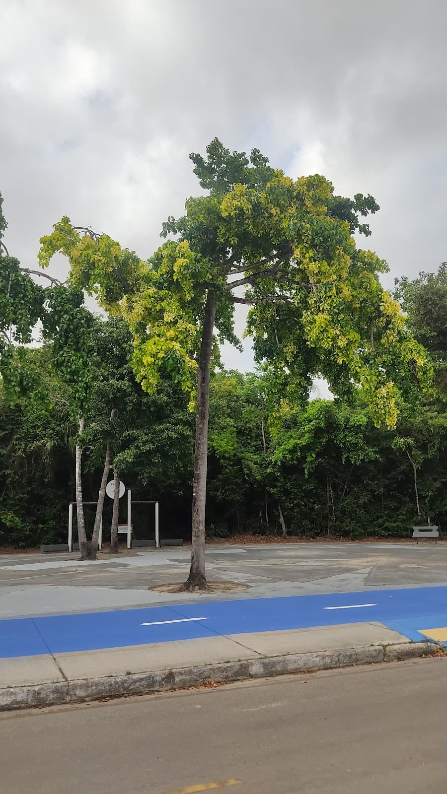 Parque Ambiental do Itapiracó - Image 1