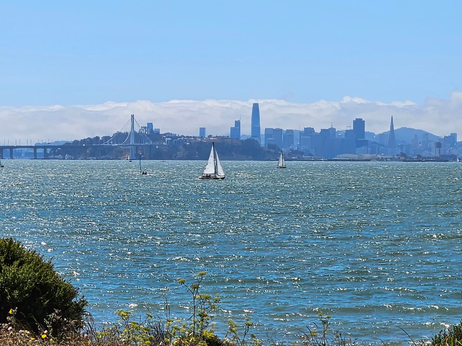 Bay Trail Berkeley - Image 1