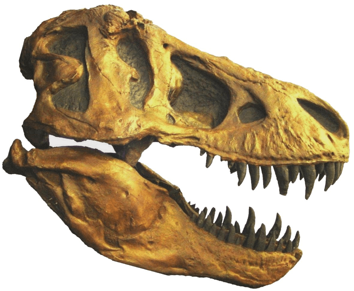 Dinostar The Dinosaur Experience - Image 1