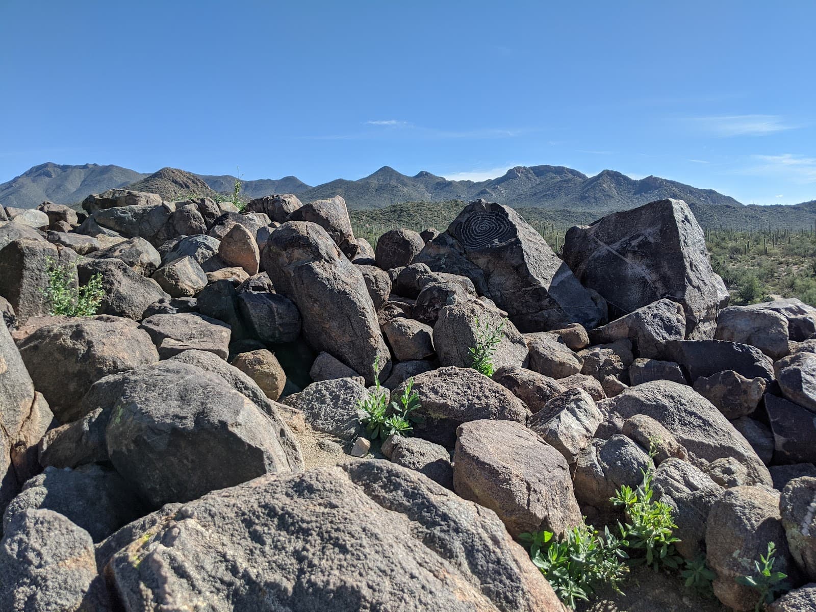 Signal Hill Petroglyphs - Image 1