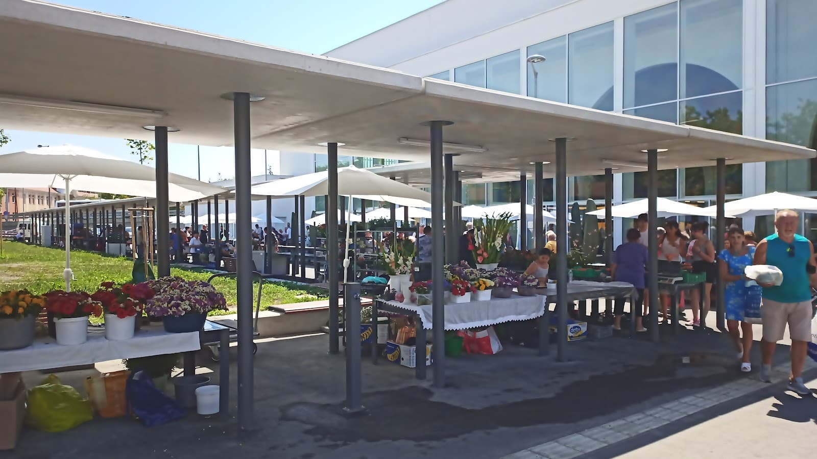 Pécs Market Hall - Image 1