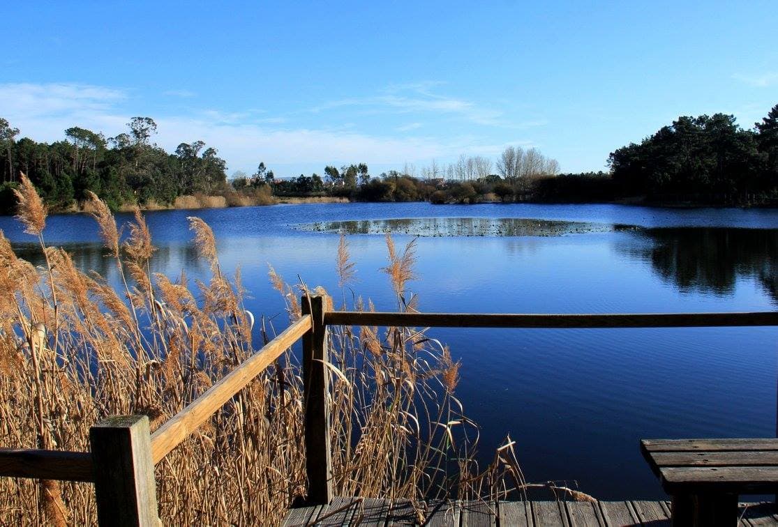 Pataias Lagoon - Image 1