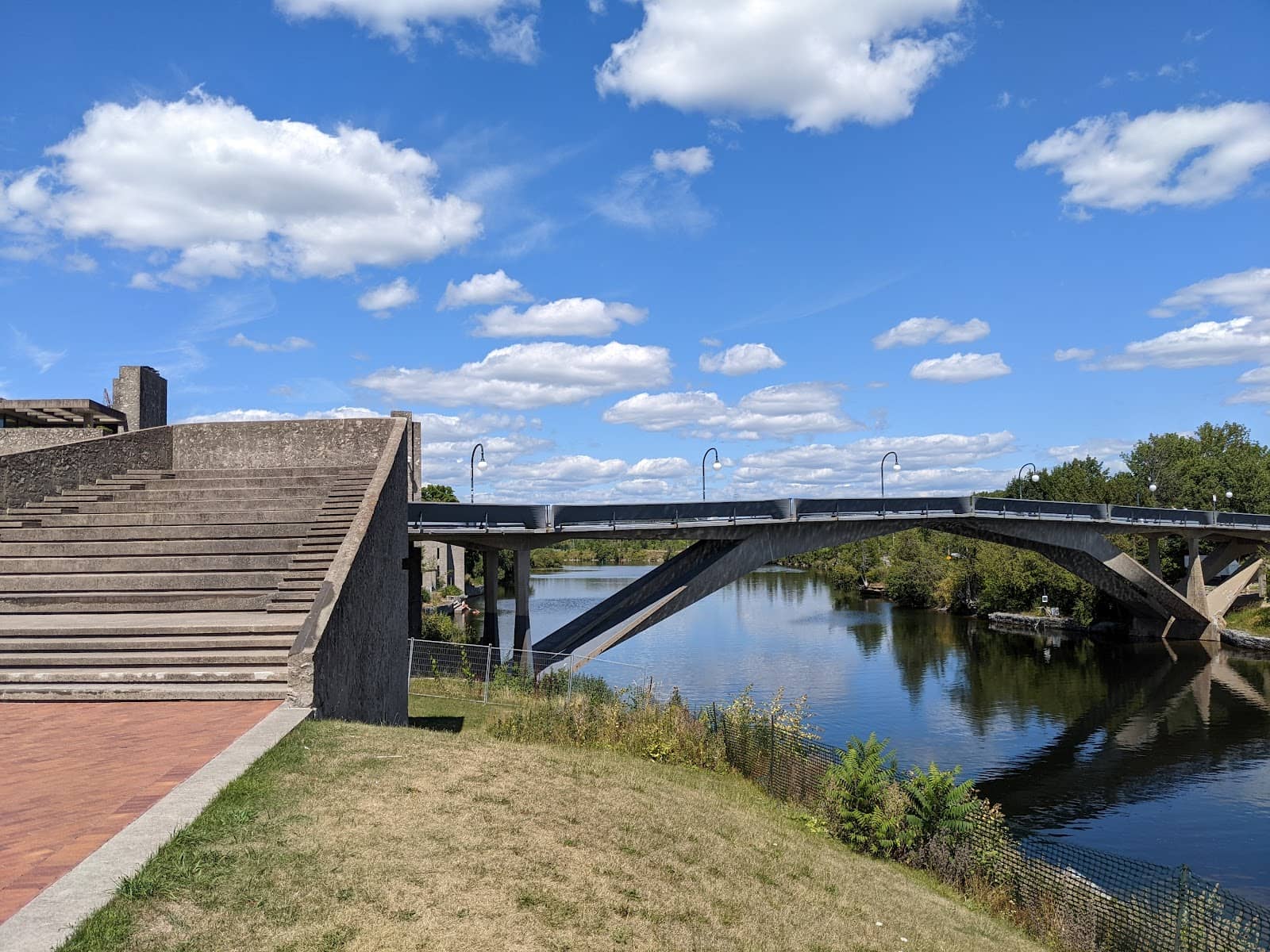 Extensive Book Collection