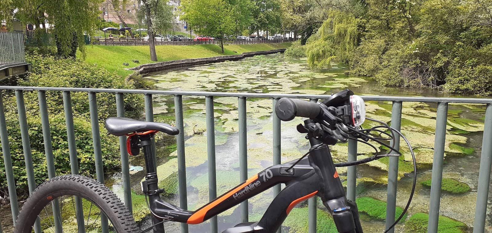 Local Festivals and Gatherings