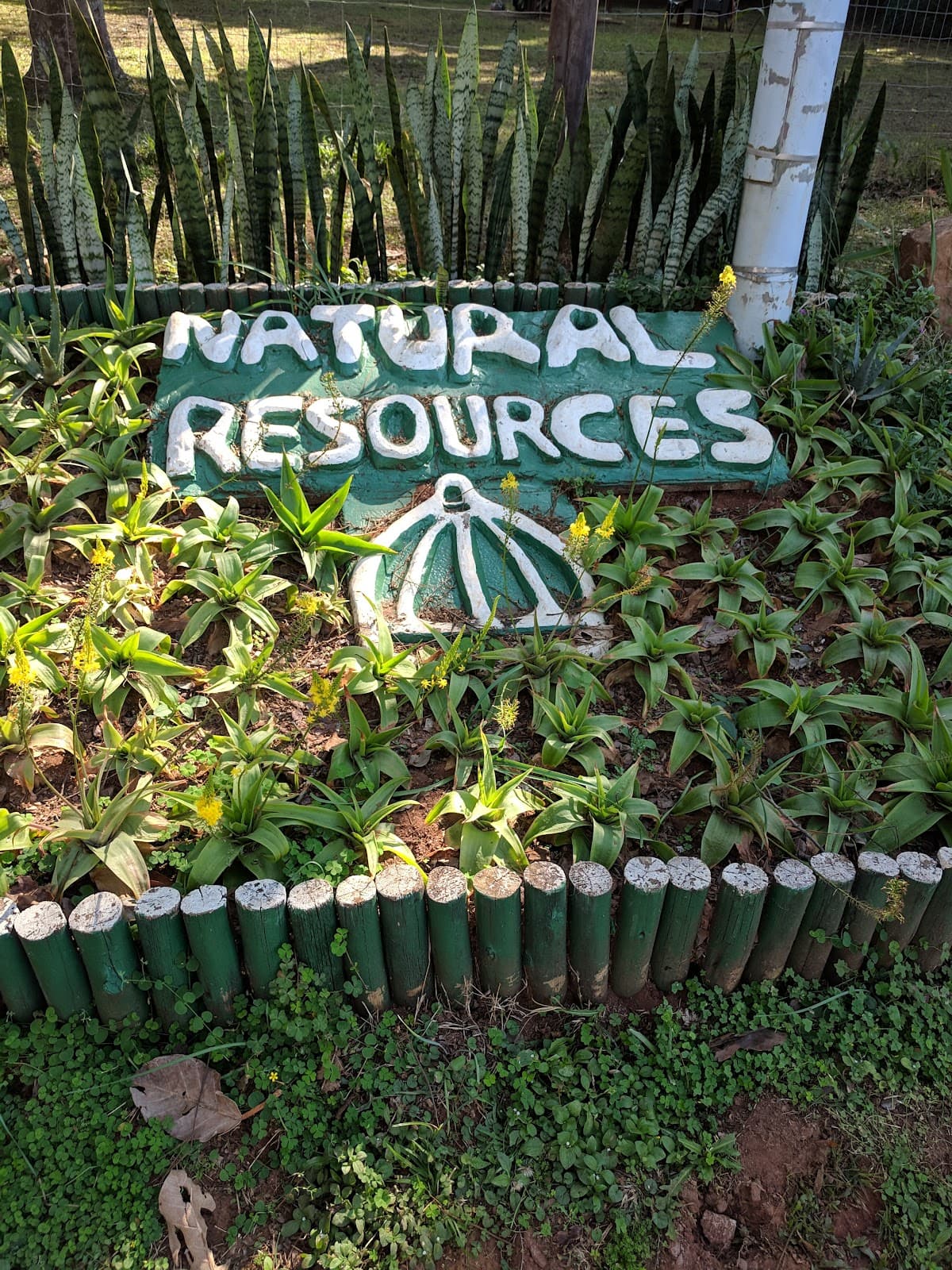 Pigeon Valley Nature Reserve - Image 1