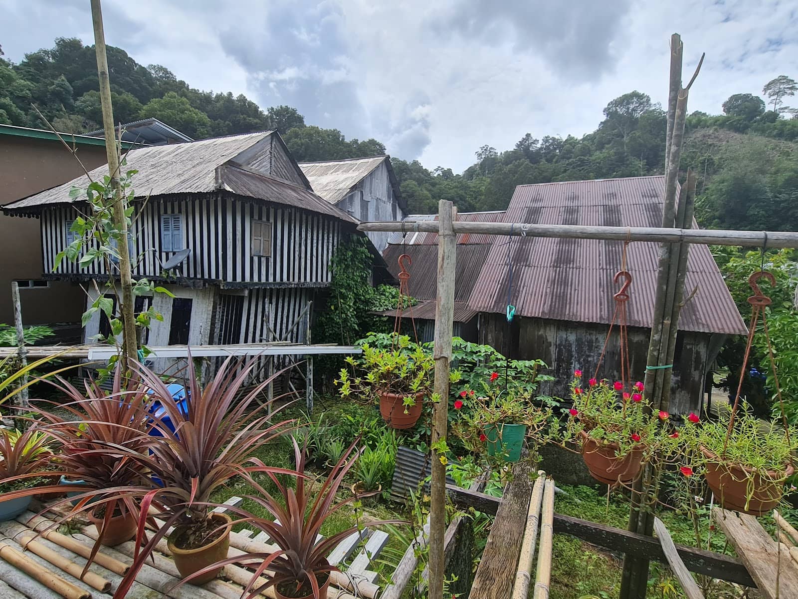 Local Storytellers & Musicians