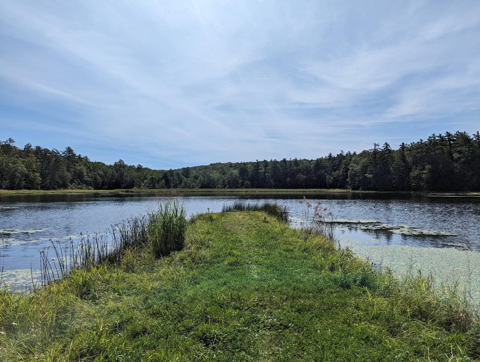 Wildlife Spotting Opportunities