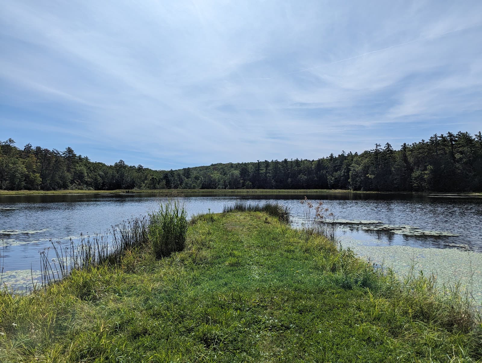 Erwin Wildlife Management Area - Image 1