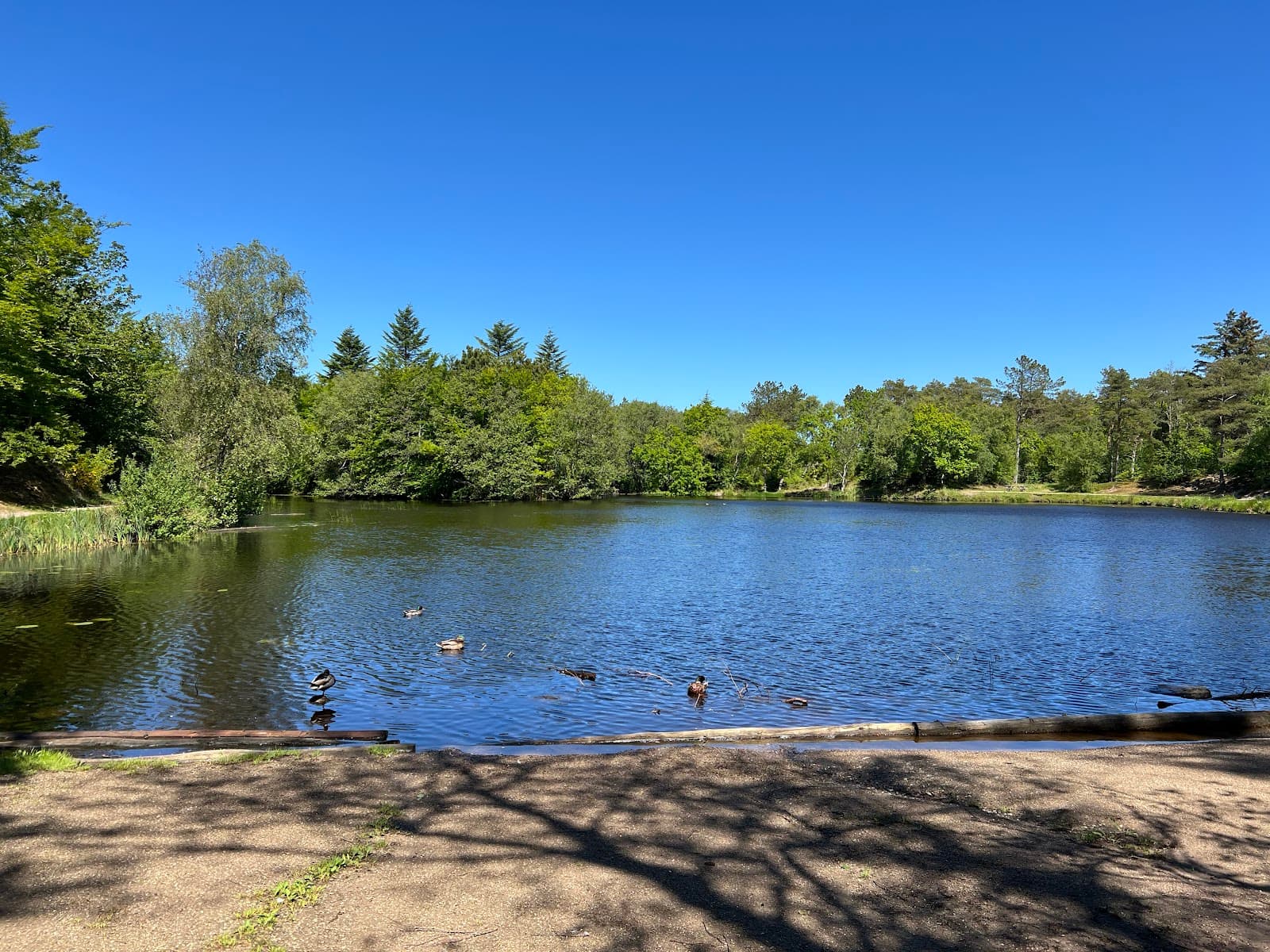 Tversted Lakes - Image 1