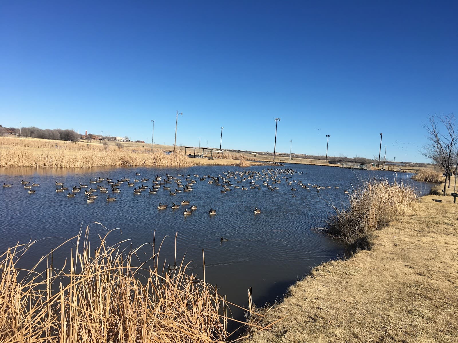 Paul Lindsey Park - Image 1