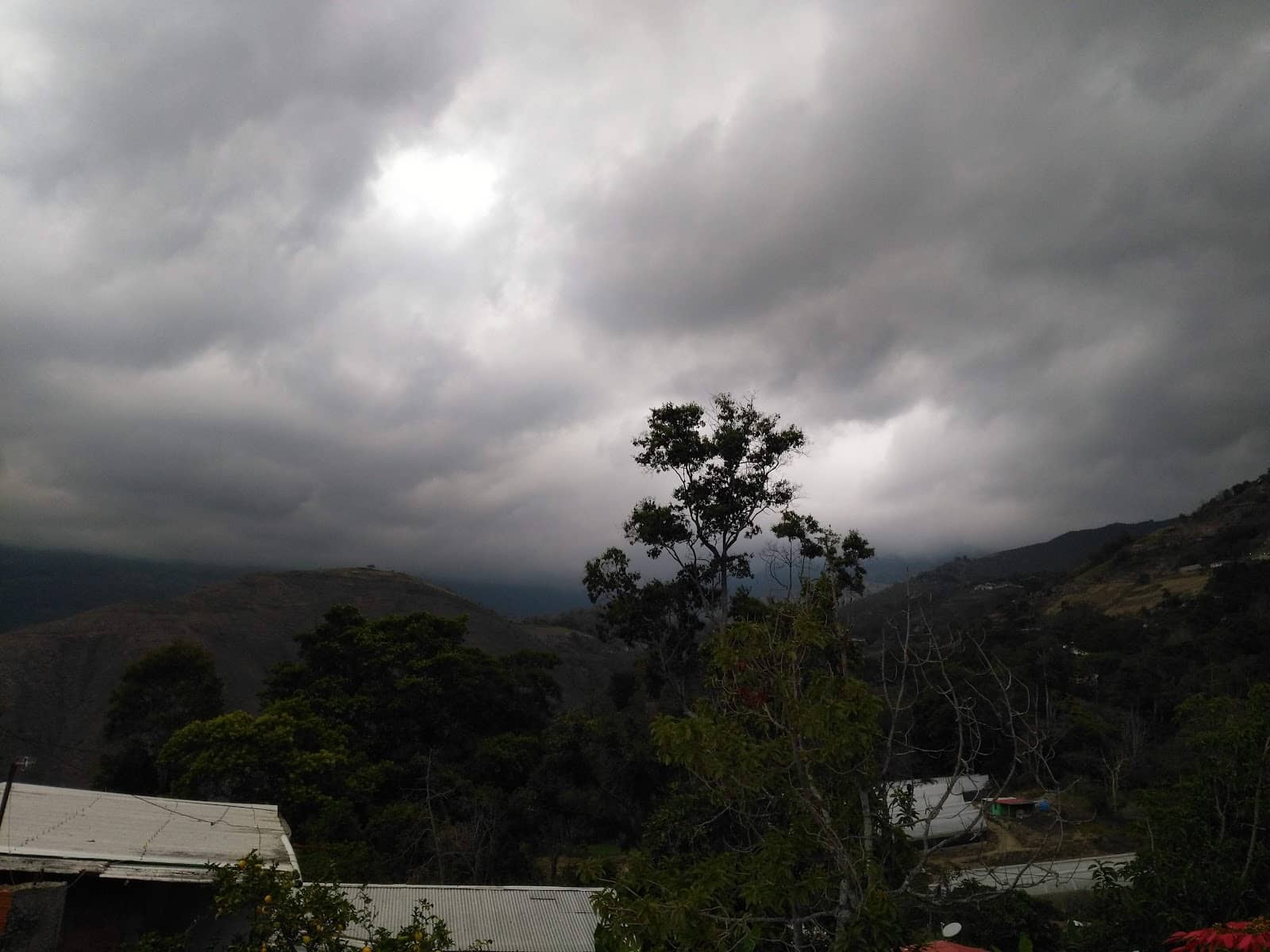 Local Flora and Fauna