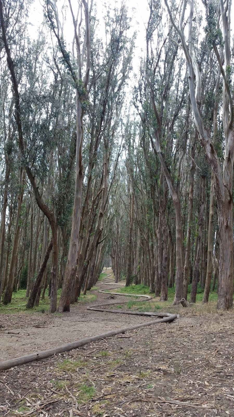 Lovers’ Lane Presidio - Image 1