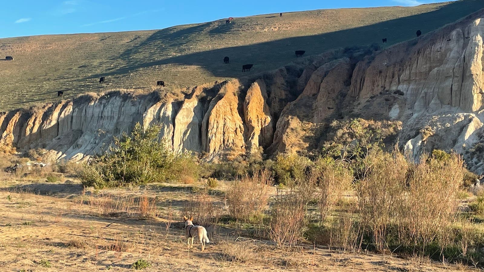 Santa Maria River Levee Trail - Image 1