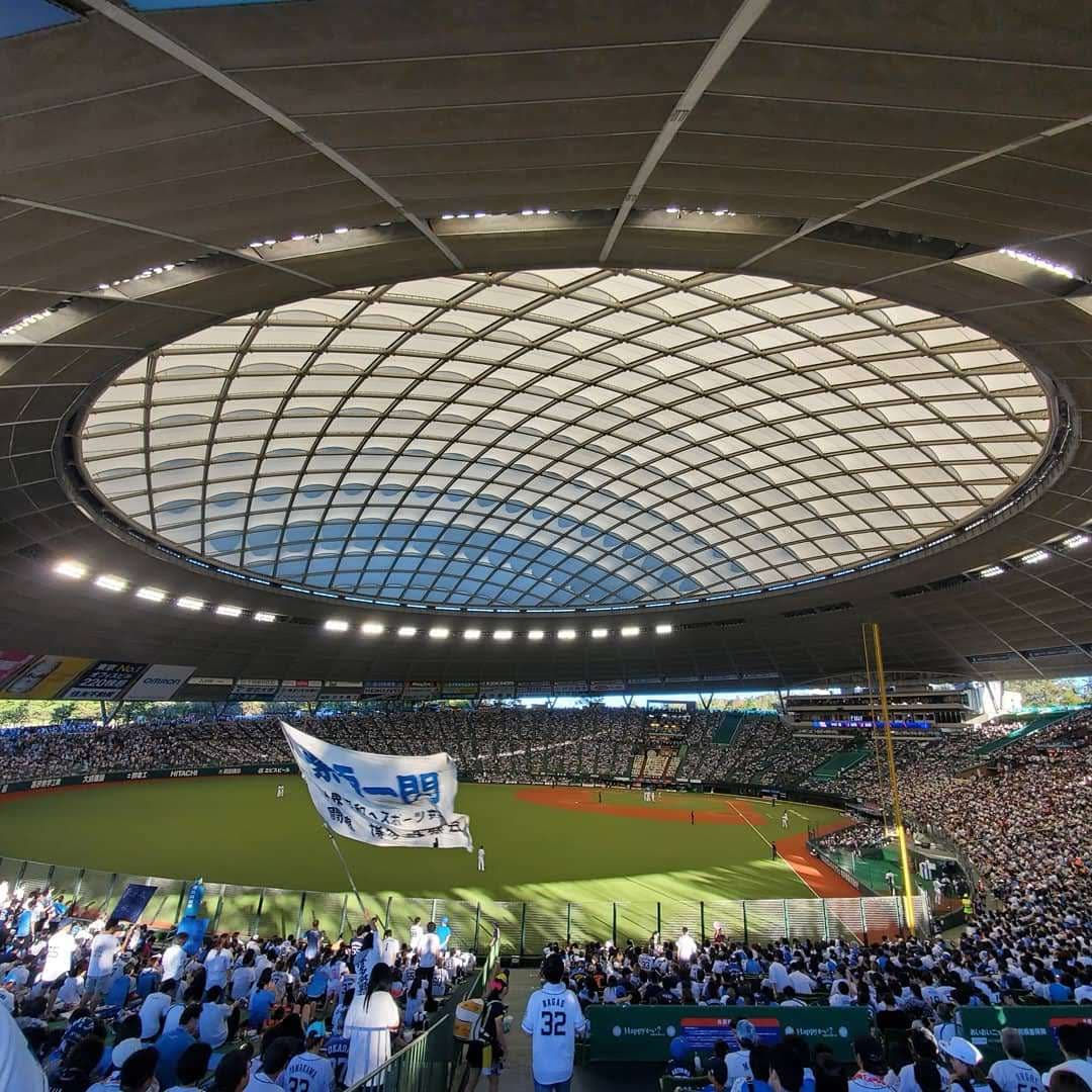 Belluna Dome (Seibu Dome) - Image 1