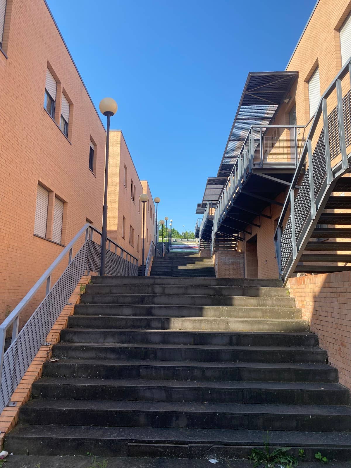 Vertical photo