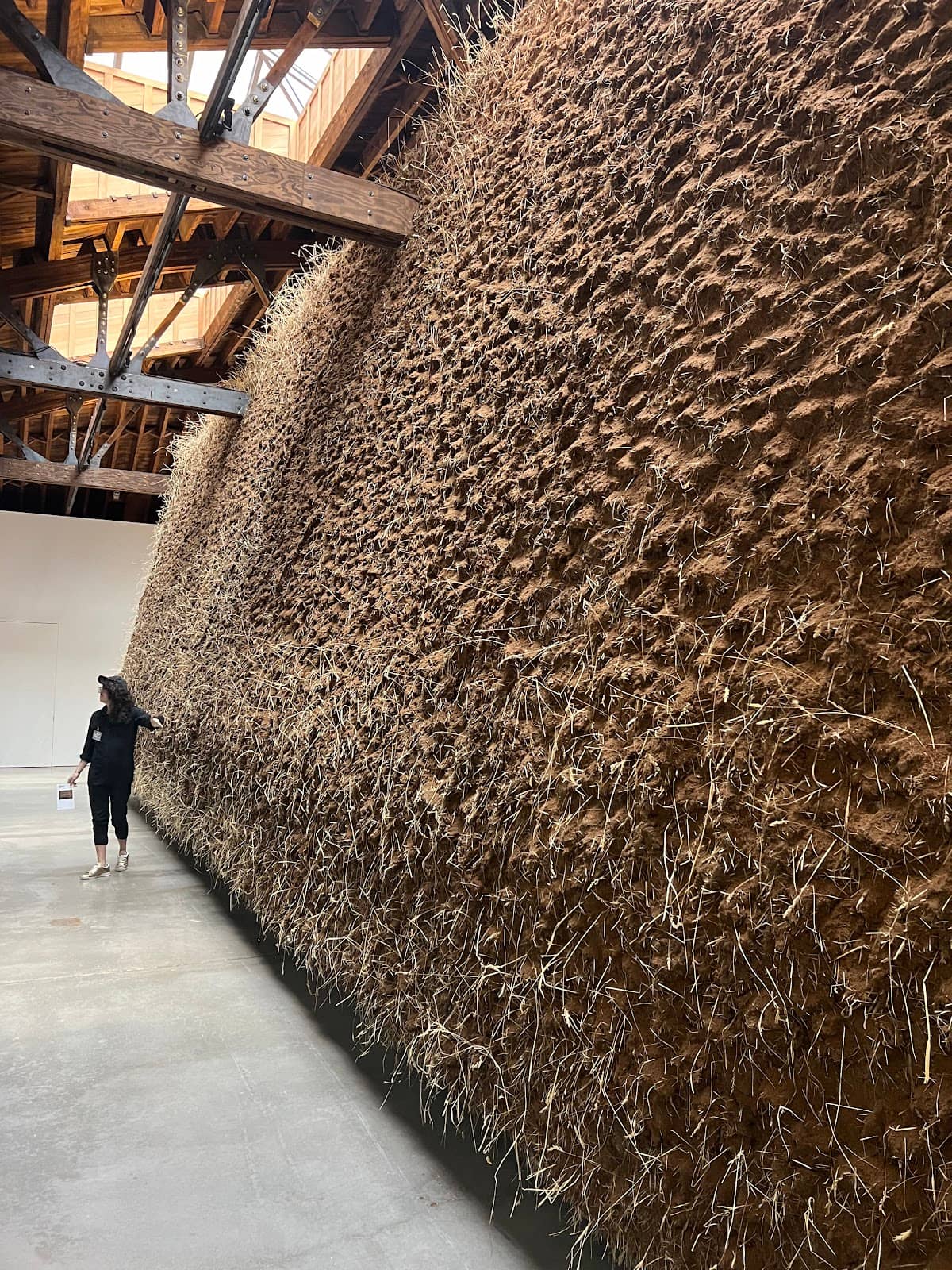 Thoughtfully Curated Book Selection