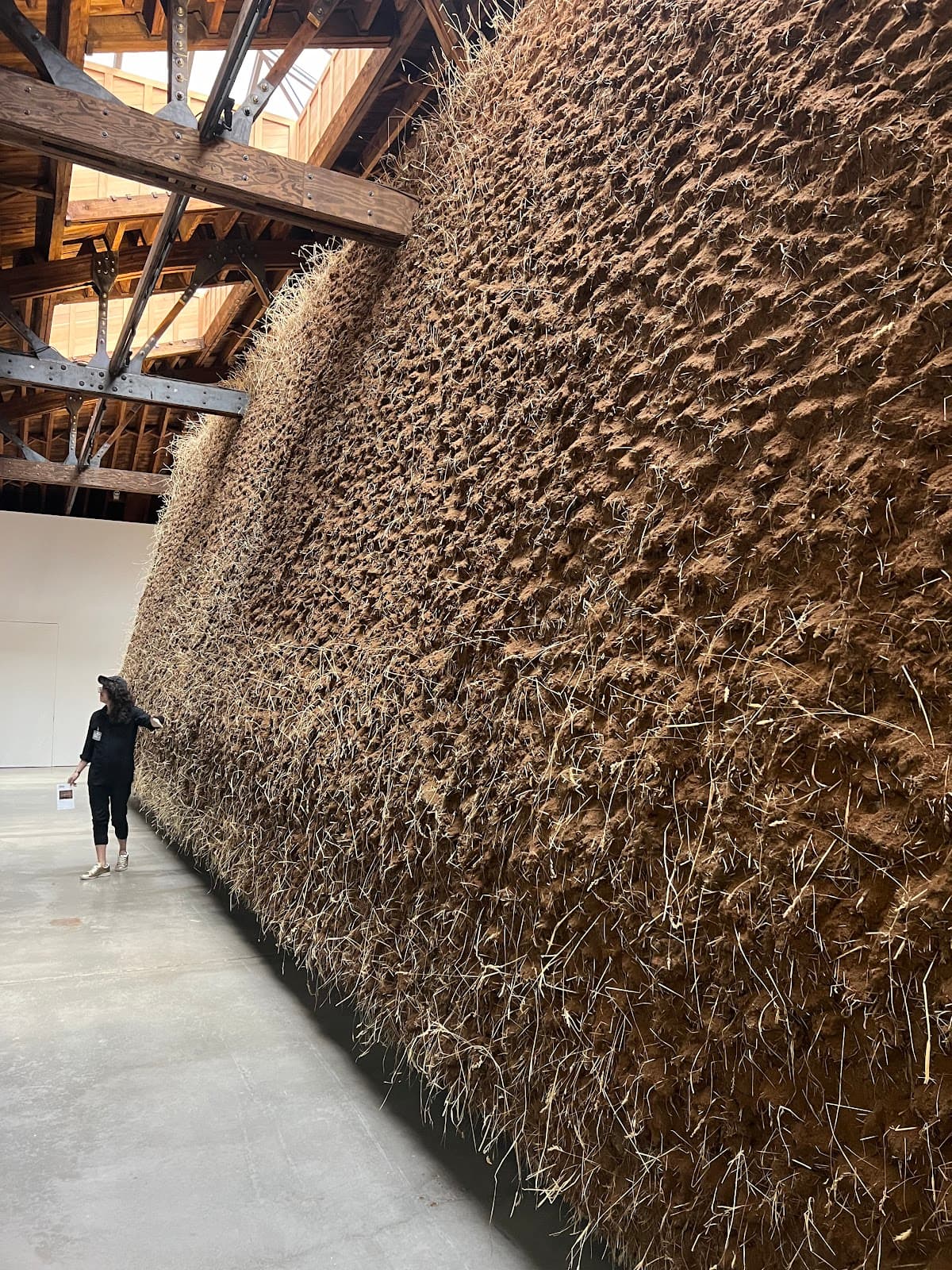 Dia Chelsea - Image 1