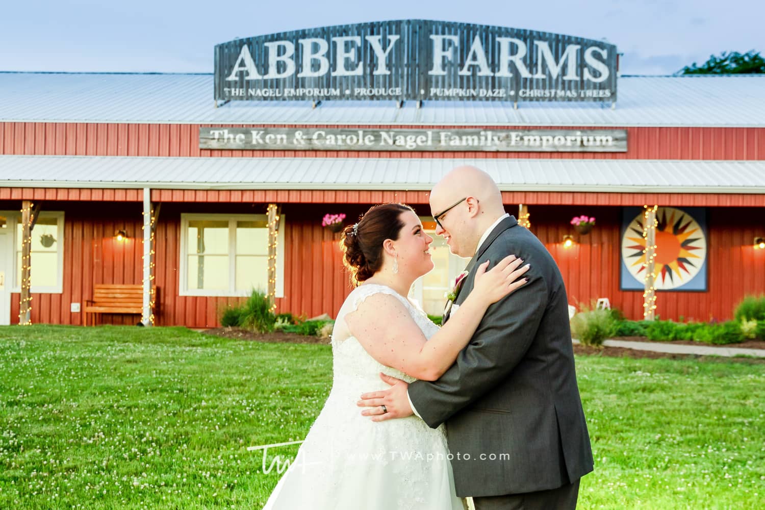 Christmas Tree Selection