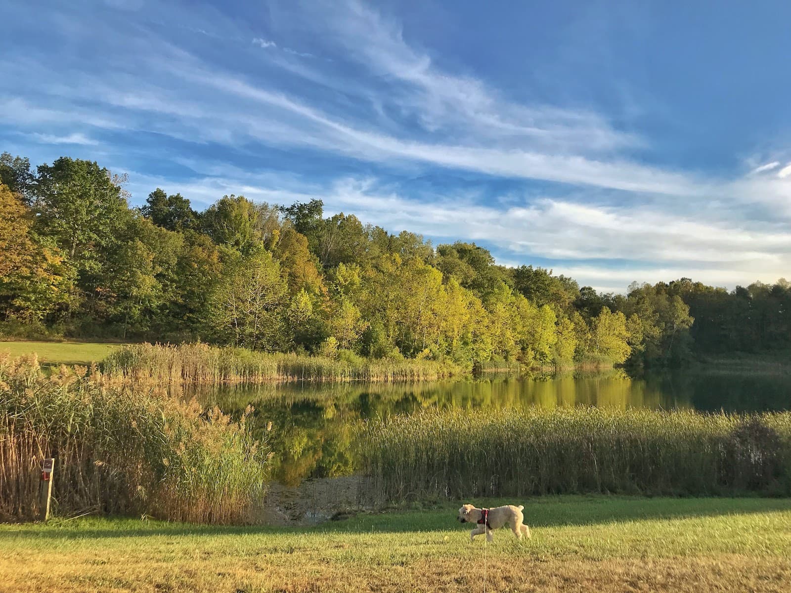 Indigo Lake - Image 1