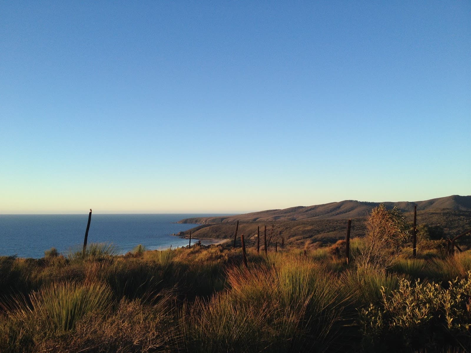Narawntapu National Park - Image 1
