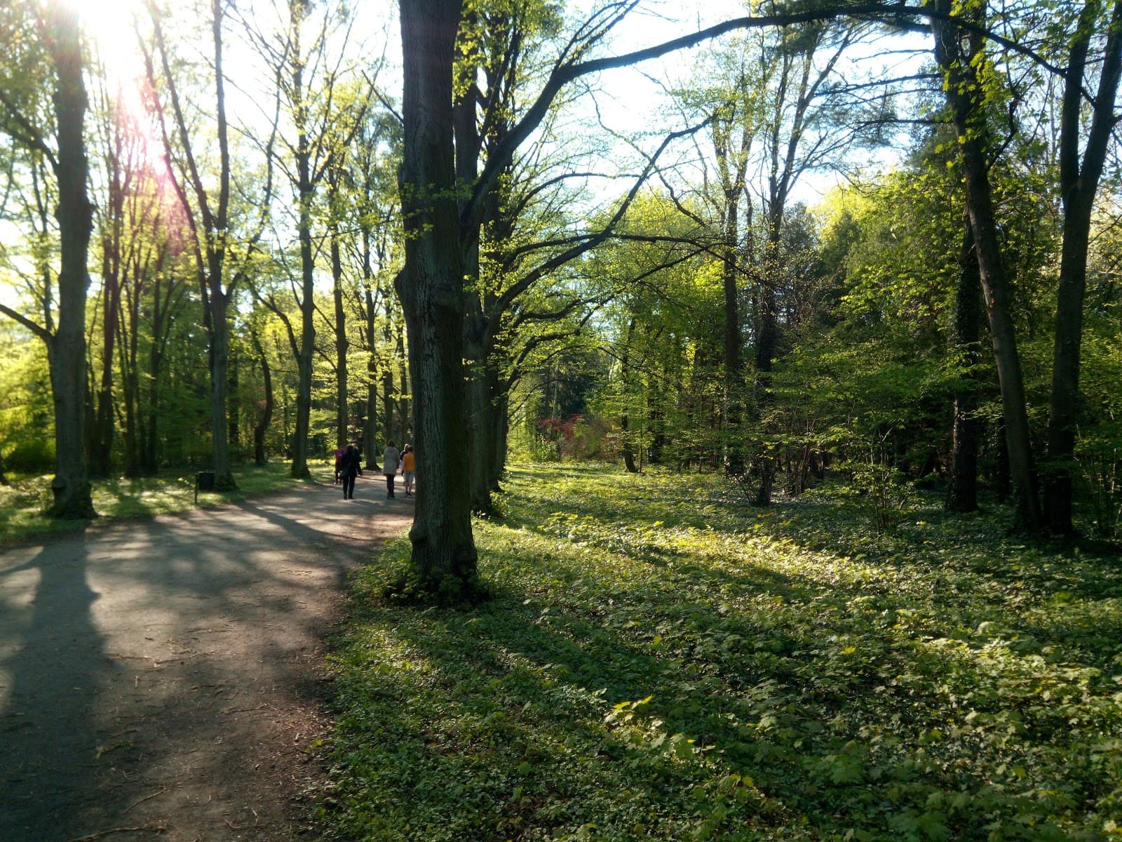 Grabiszyński Park - Image 1