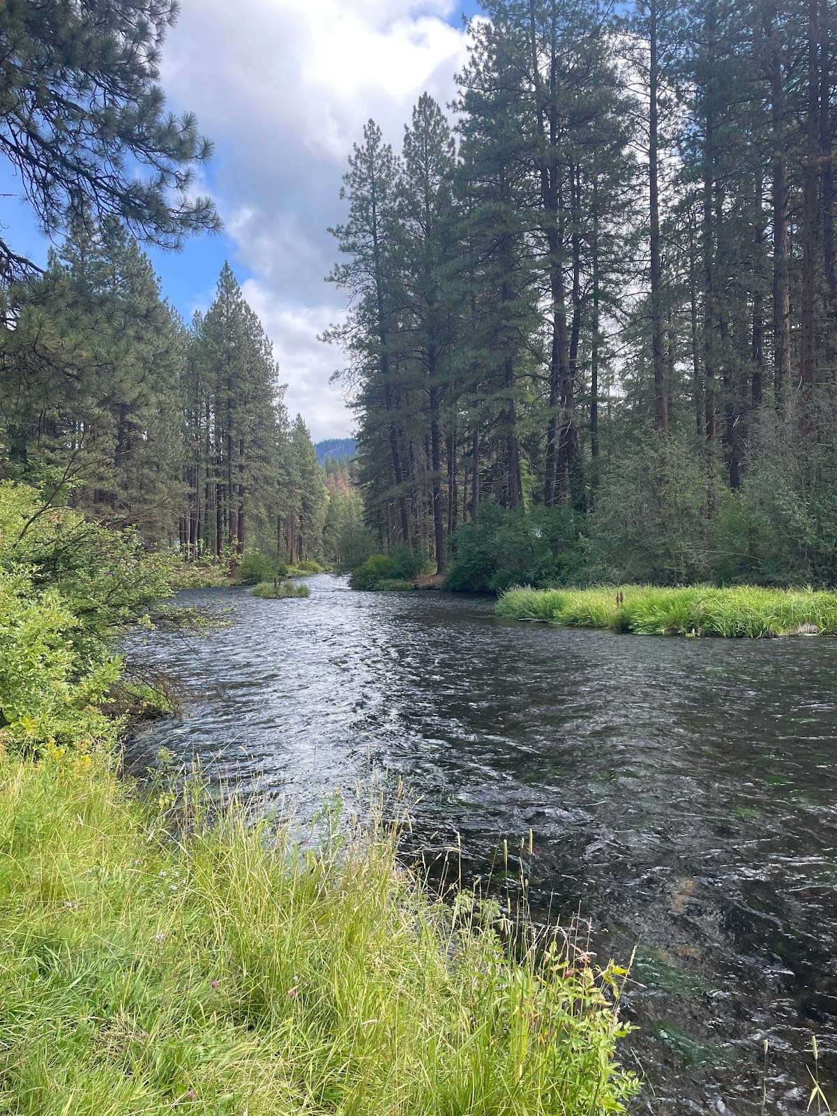 Metolius River Trail - Image 1