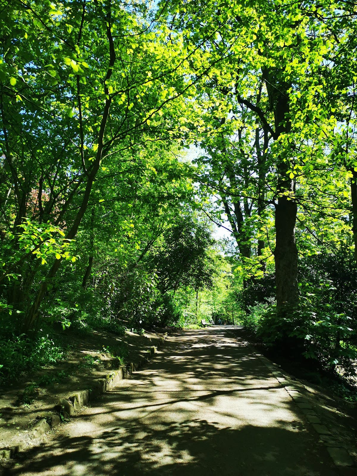 Armstrong Bridge - Image 1