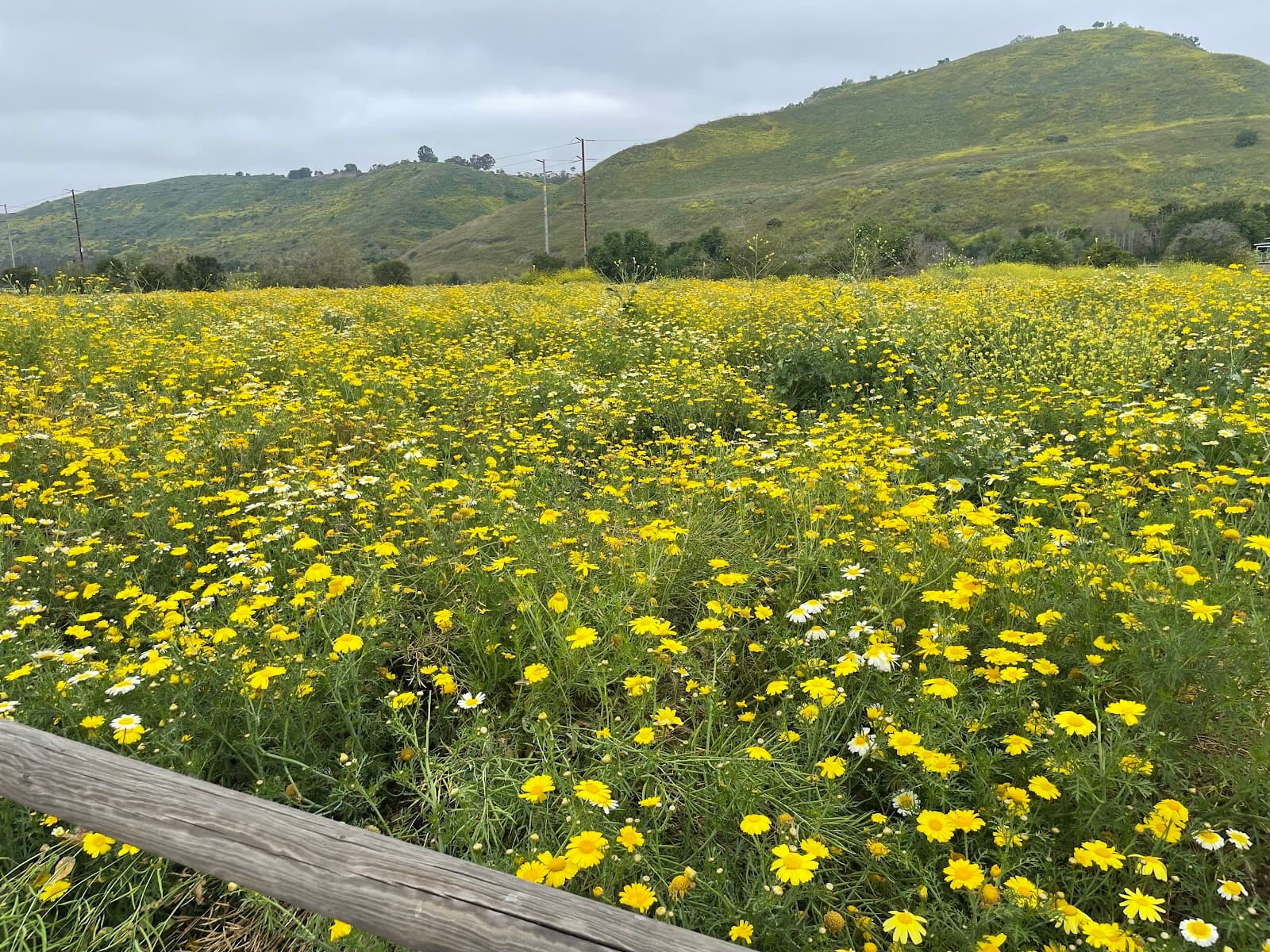 Northwest Open Space - Image 1