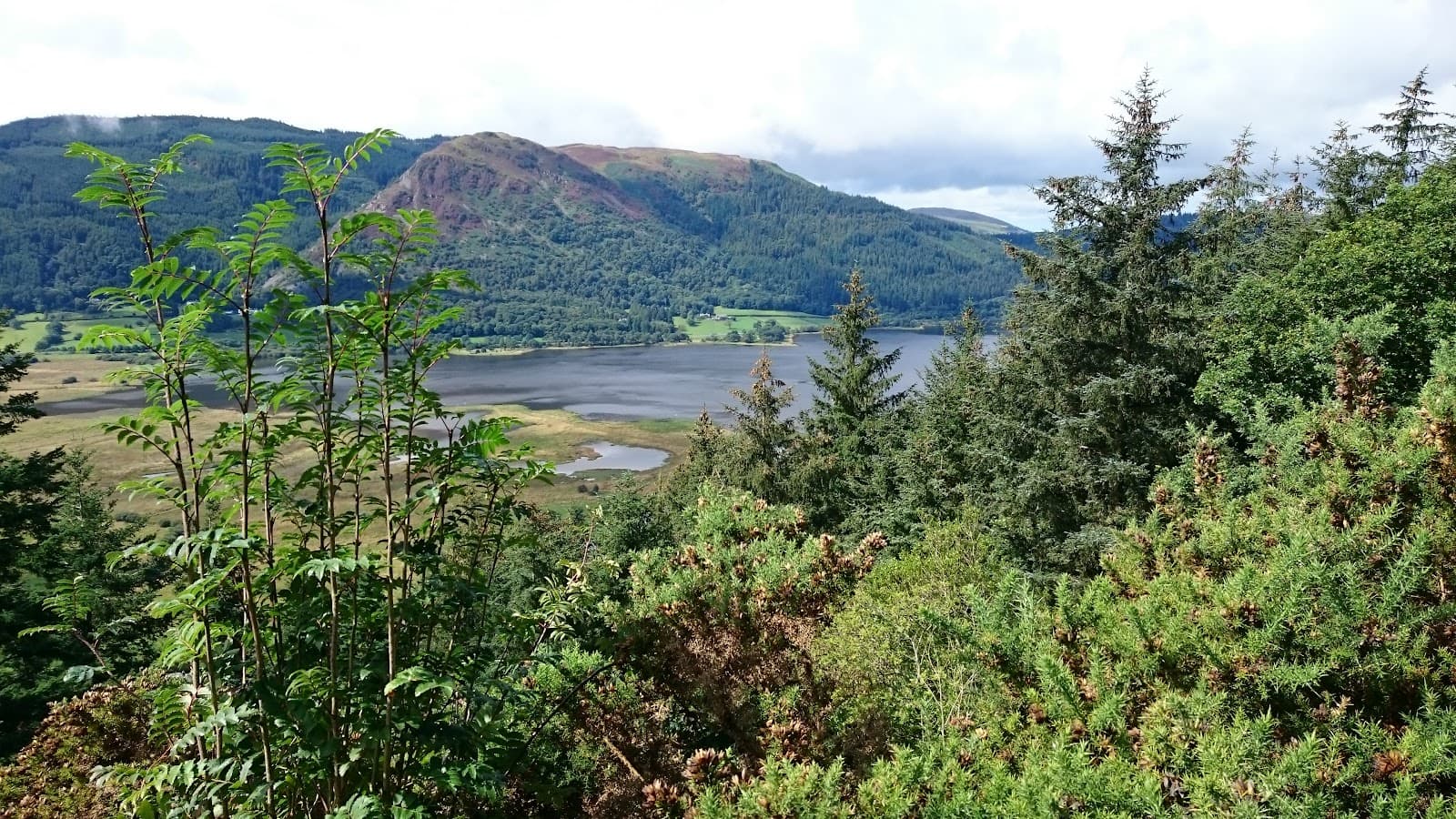 Osprey Viewpoint Dodd Wood - Image 1