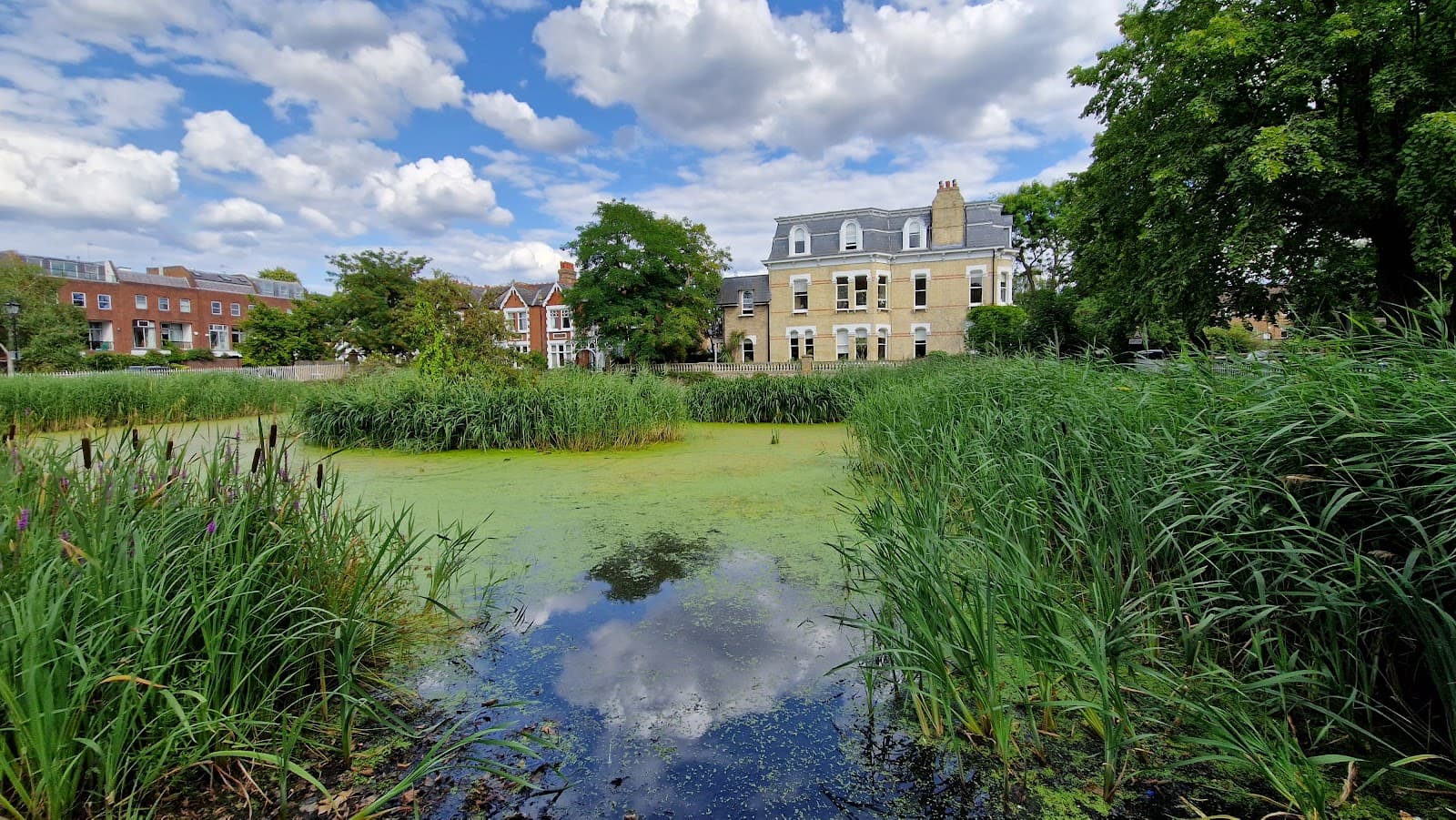 Kew Pond London - Image 1