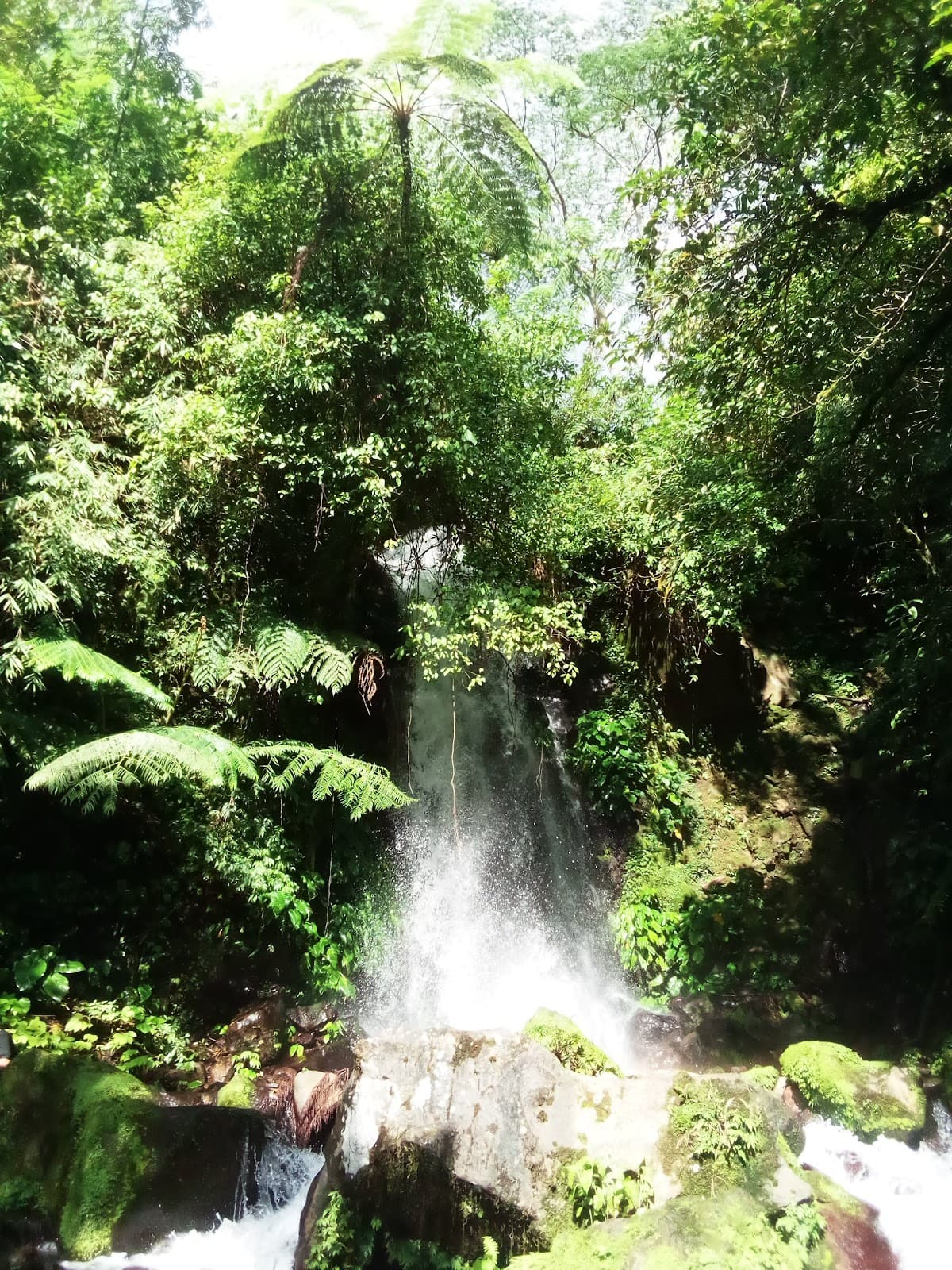 Guintubdan Nature Trails and Falls - Image 1