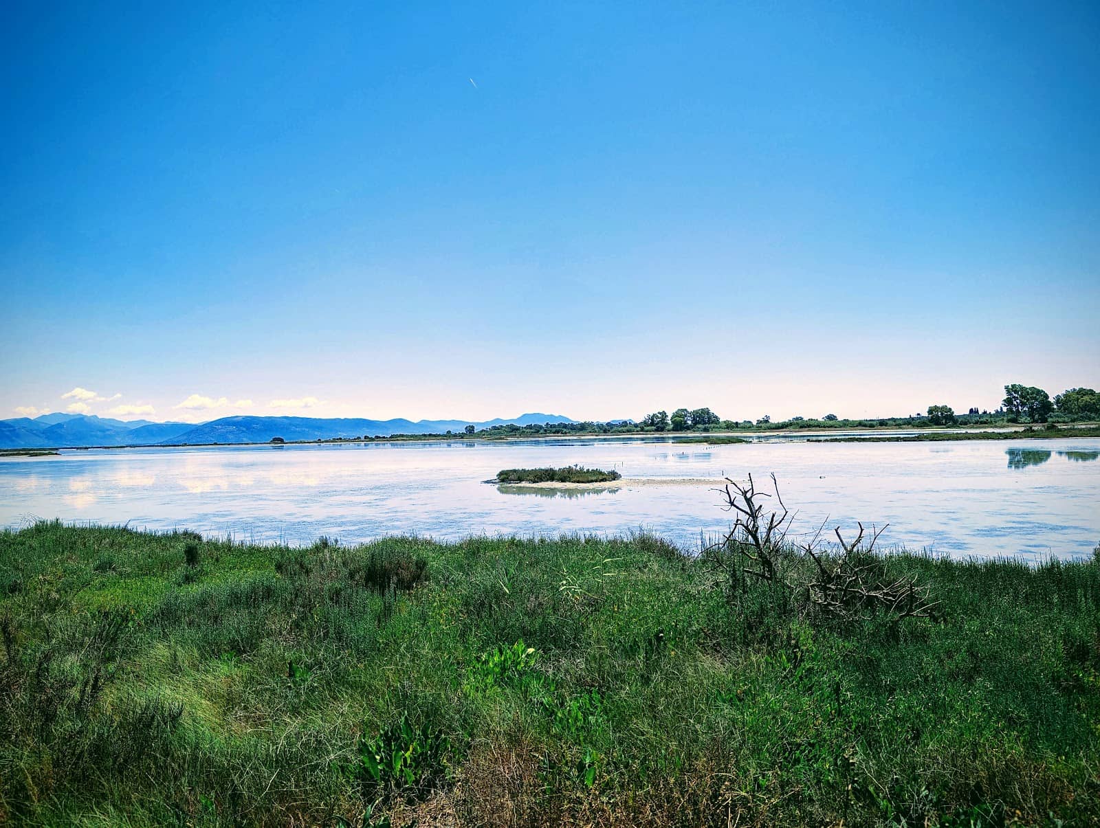 The Salt Extraction Network