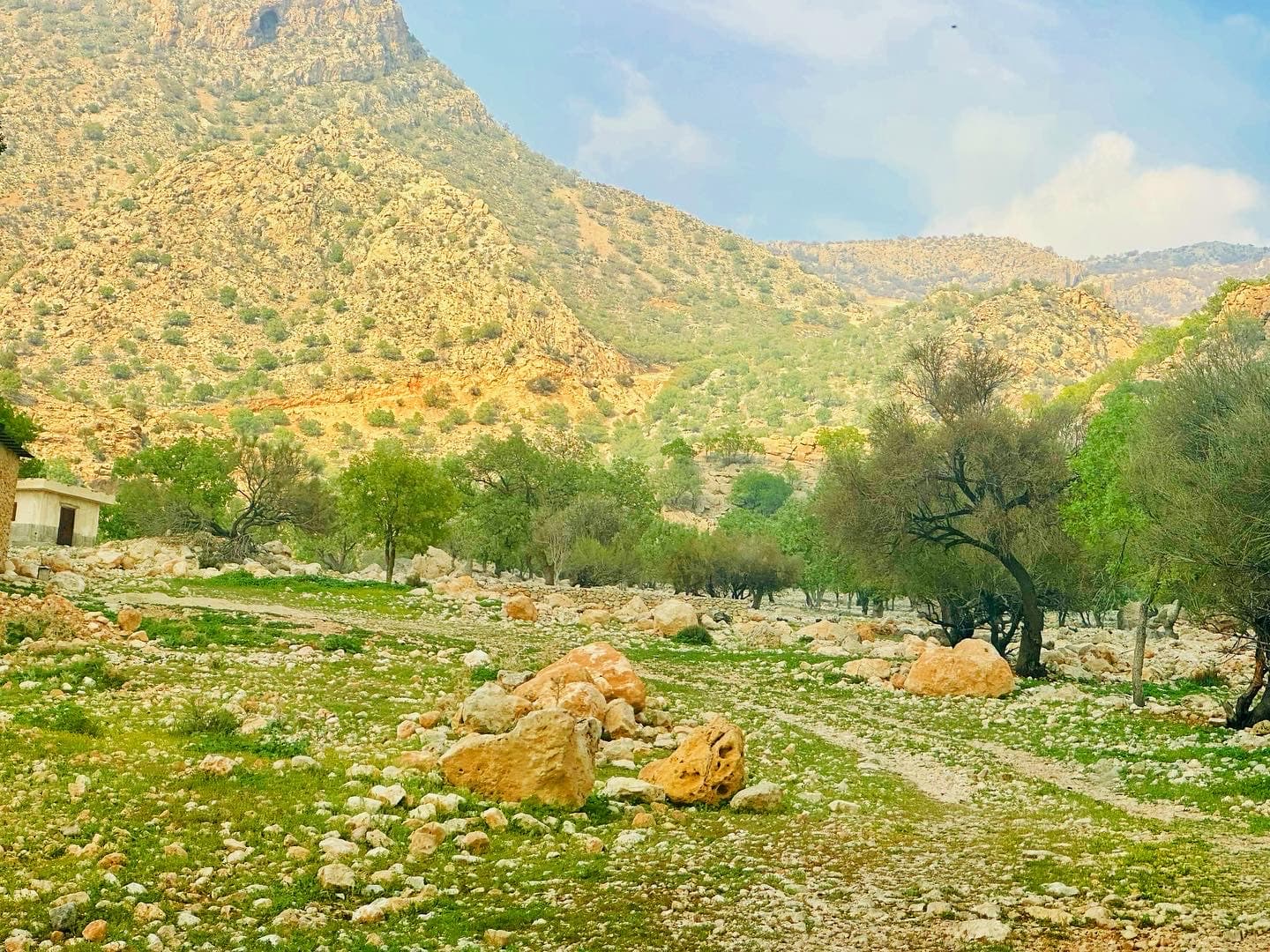 Arjan and Parishan Protected Area - Image 1