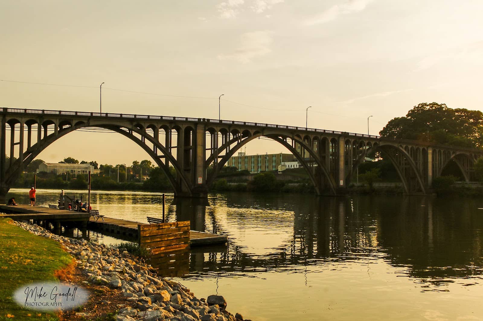 Pet-Friendly Paradise