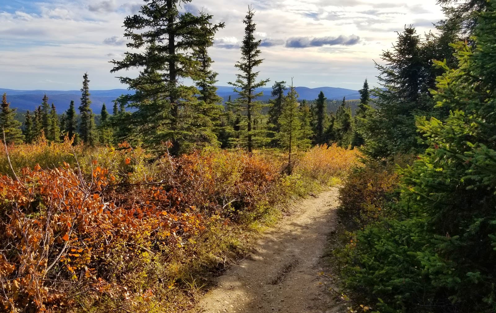 Wickersham Dome Trailhead - Image 1
