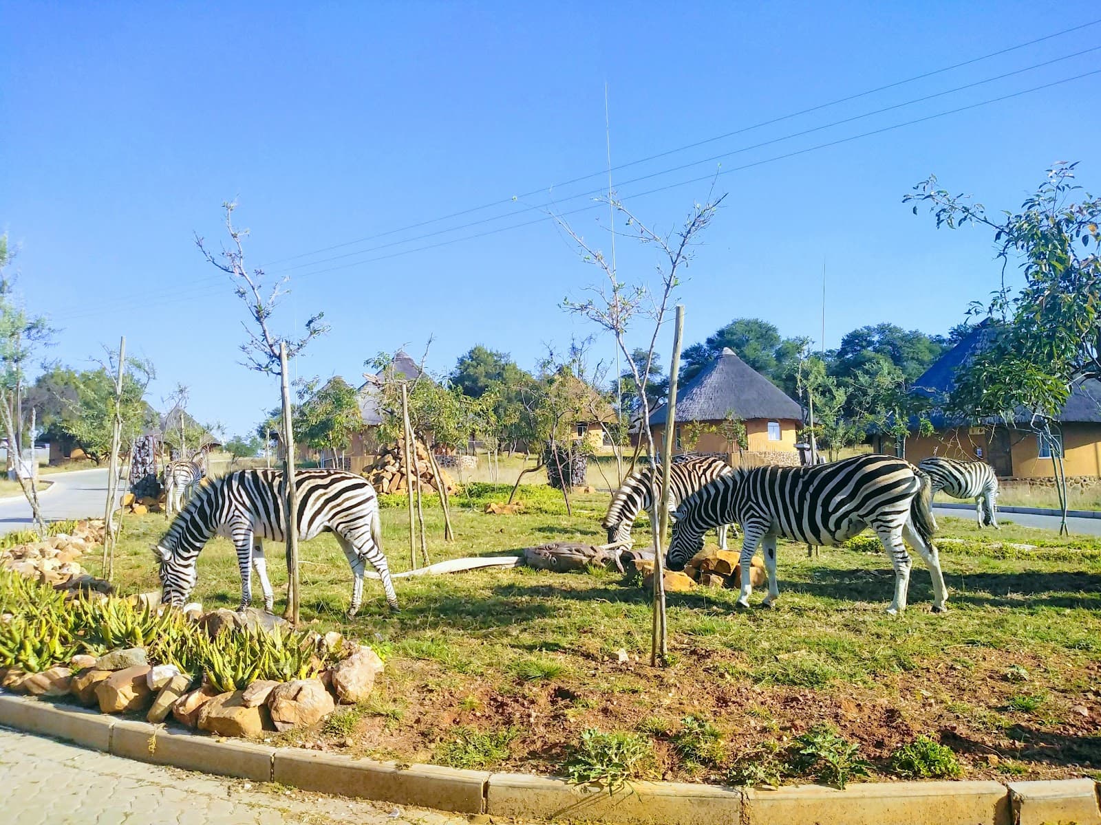 Cradle Moon Conservancy - Image 1
