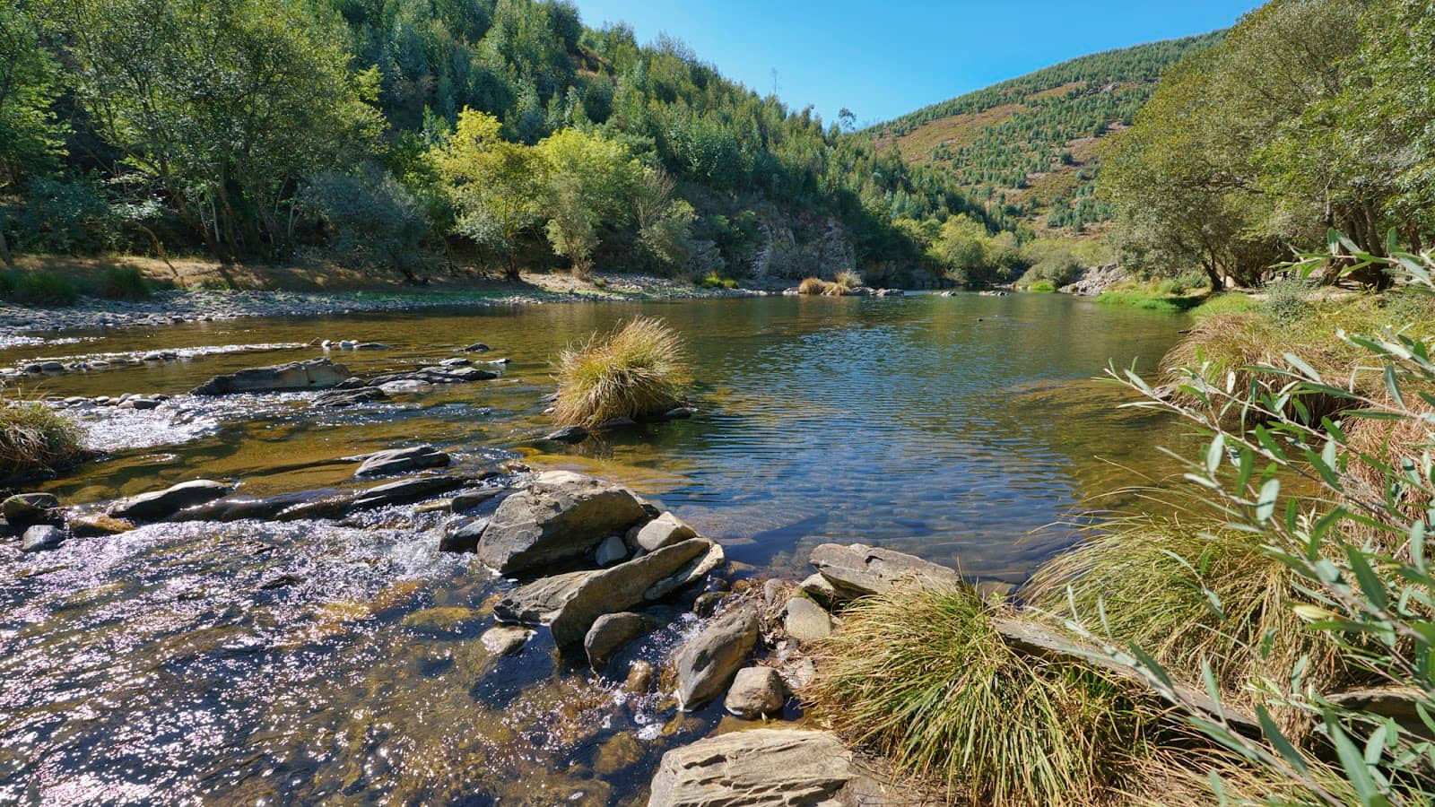 Paiva Suspension Bridge