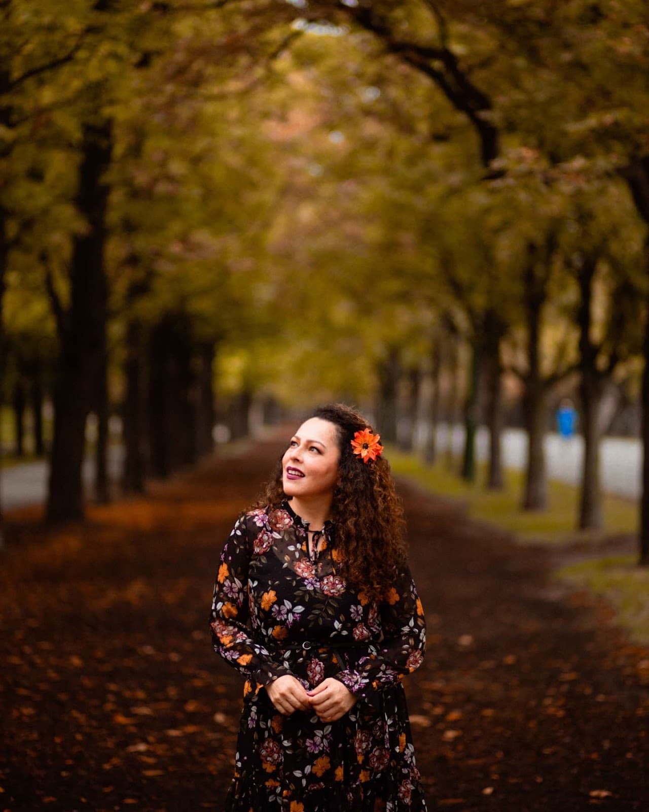 Prater Hauptallee - Image 1