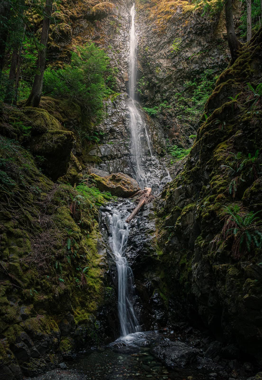 Serene Forest Escape