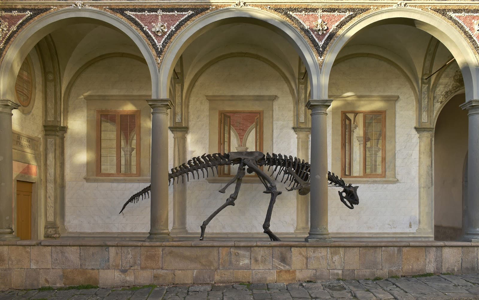 Natural History Museum Calci - Image 1