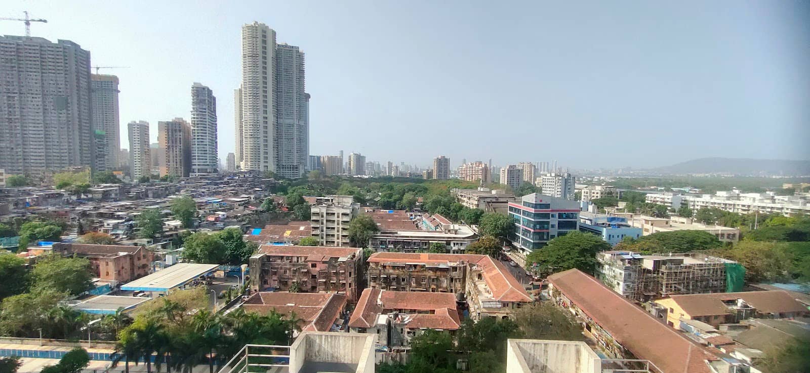 Birdwatcher's Paradise