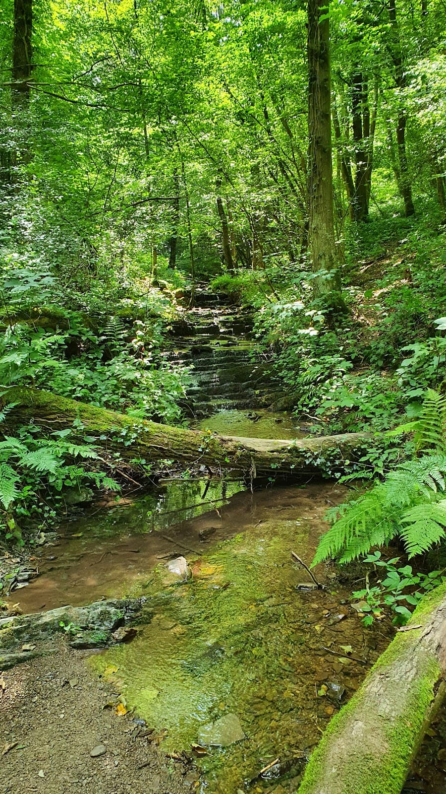 Falmignoul - Image 1