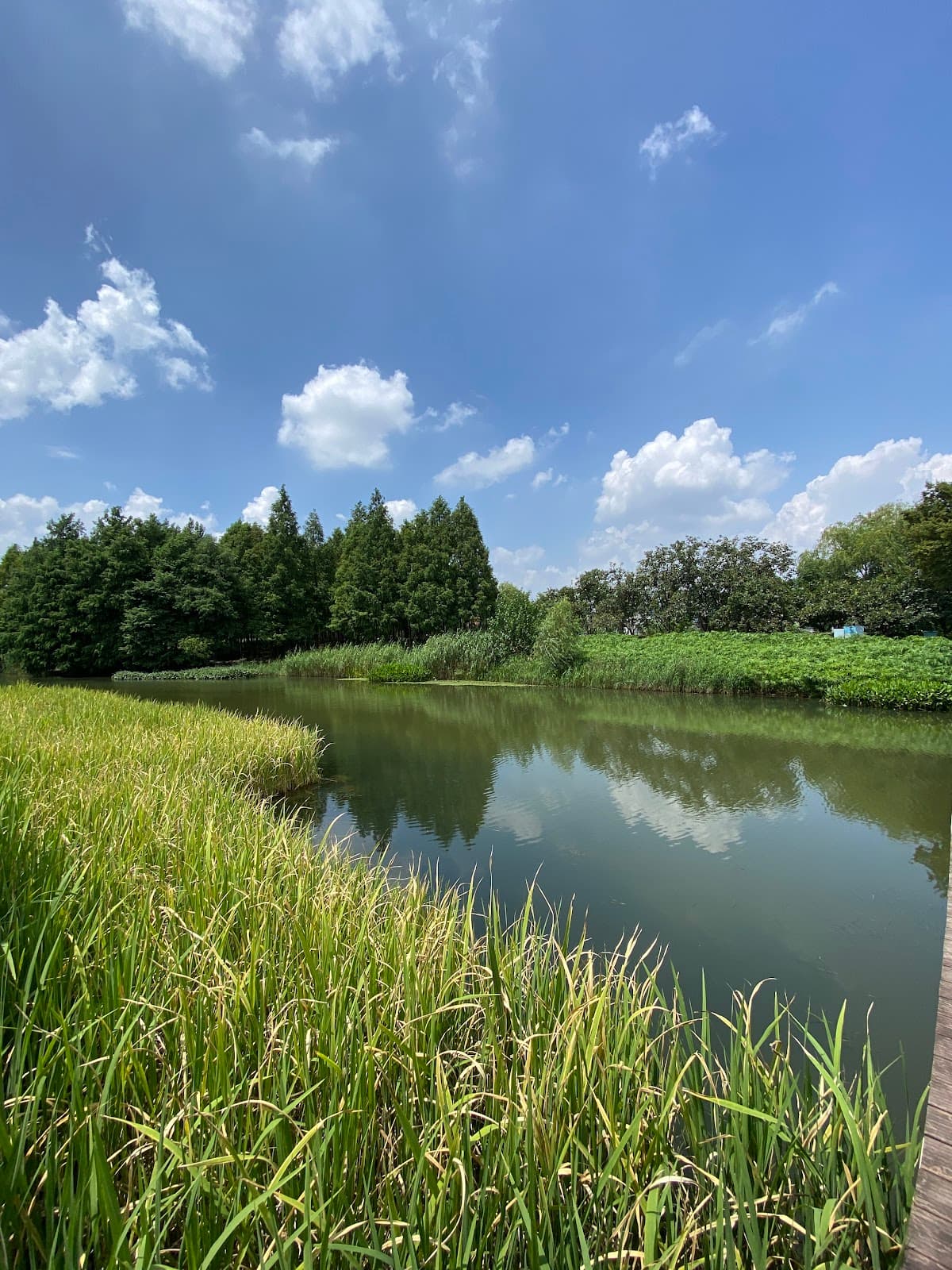 Houtan Park - Image 1