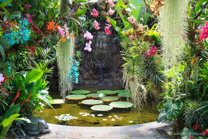 La Mortella Gardens Ischia - Image 1