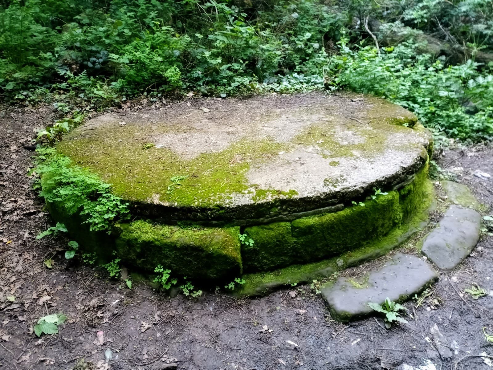 Allesley Castle Motte - Image 1